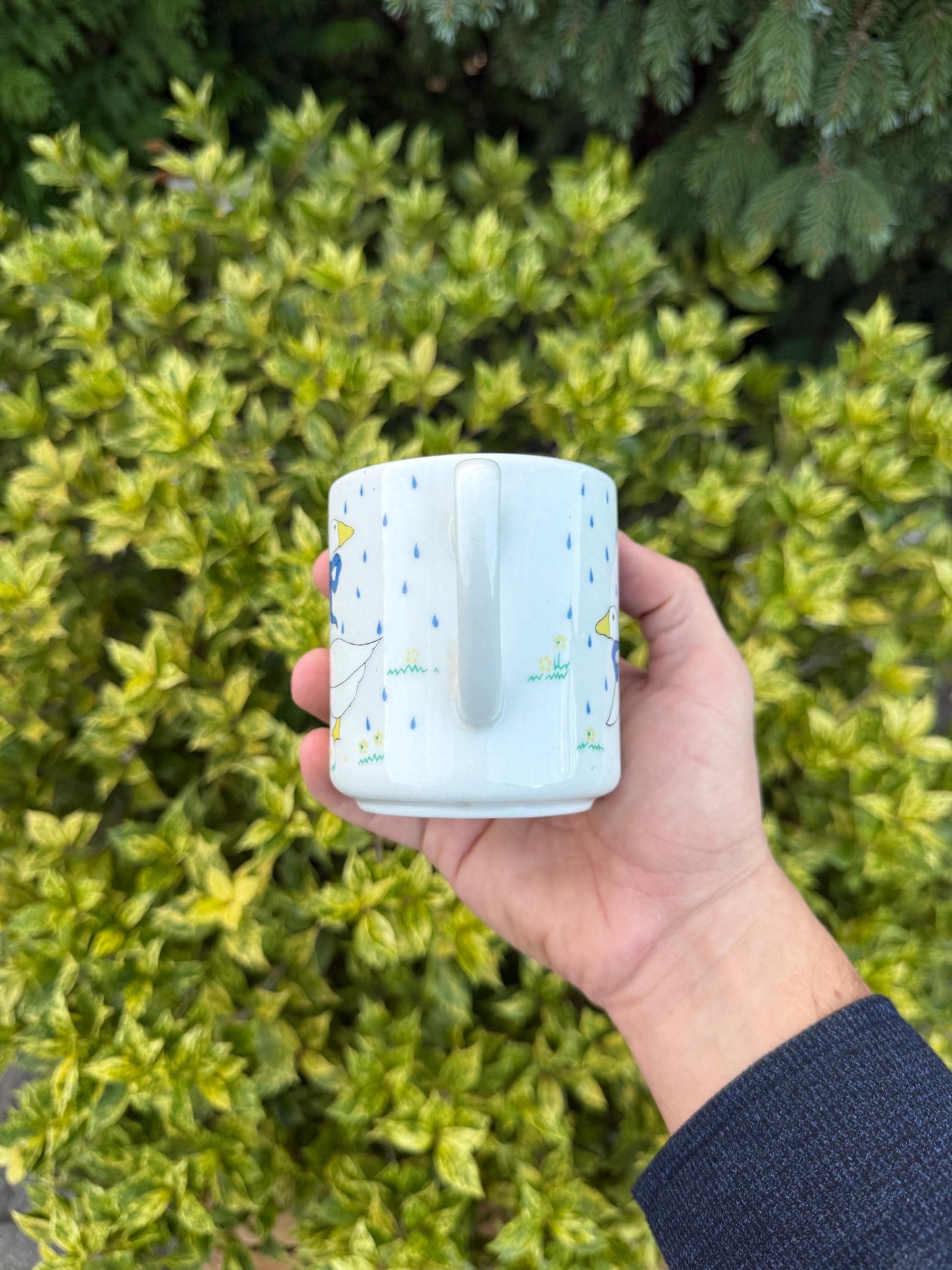 Vintage Goose Print Mug Set